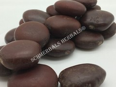 African Dream Herb, Entada rheedii, 1 kg Wild-Crafted Seeds ~ Schmerbals Herbals