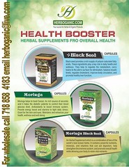Moringa Capsules 60 Capsules Bottle Dietary Suppelment Cure All and Energy Fresh