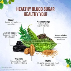 Dabur Dia Control Juice 1-Ltr Supports Blood Sugar Levels & Insulin Sensitivity.