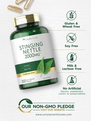 Stinging Nettle Leaf Extract 2000mg | 300 Capsules | by Carlyle