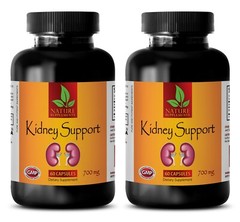 wellness natural supplements – KIDNEY SUPPORT COMPLEX – antioxidant 2B