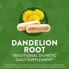 Dandelion Root 1,575 mg per serving Non-GMO Nature’s Way Gluten Free Vegetarian
