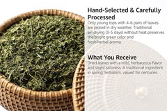Stinging Nettle Leaf – Cut & Sifted – Urtica Dioica – Loose Bulk Herb