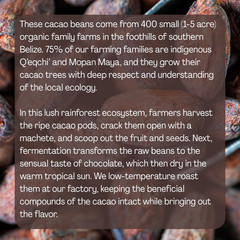 ORA Whole Cacao Beans, 10Oz – Organic, Ethical, Regenerative, Heavy Metals Teste