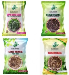 Super Napier + Hedge Lucerne + Stylo Hameta + Berseem Grass Seebs 100 Gram Each