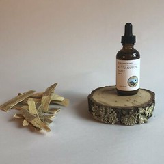 ASTRAGALUS ROOT – TINCTURE