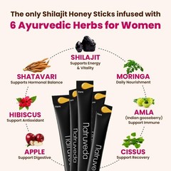 Shilajit Honey Sticks, 12 Count | 300 mg Support for Energy & Hormones