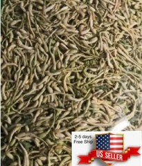 Dried Honeysuckle/ Lonicera Japonicae 8 oz 金银花