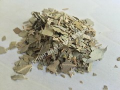 Eucalyptus, Eucalyptus globulus, Leaf ~ Schmerbals Herbals
