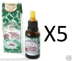 5 Brazilian Green Propolis Glycolic Extract Pon Lee – No Alcohol