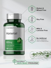 Horbaach Horsetail Herb For Urinary Track Support + Hair Skin & Nail Care 800mg