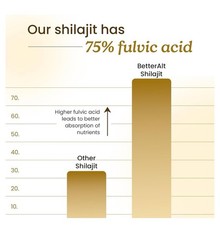 Better Alt Pure Himalayan Shilajit Resin Pack of 1 High Potency Gold Grade