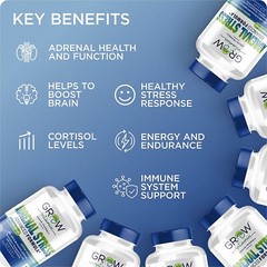 Stress Relief & Anti-Anxiety Supplement | Ashwagandha, L-Theanine, Mood Support