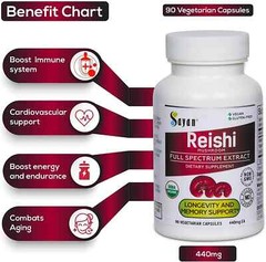 Reishi Mushroom Vegetarian Organic Supplement Energy Booster Ganoderma 90 Caps