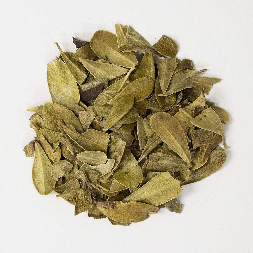 Uva Ursi Leaf Whole Premium Quality Herb FREE SHIP