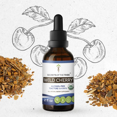 Secrets Of The Tribe Wild Cherry Tincture Alcohol-FREE