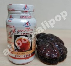 Gano Excel Excellium (Lingzhi Mycellium) 90 Capsules x 5 bottles