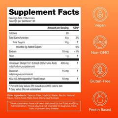 Sugar-Free Himalayan Shilajit Gummies for 60 Count (Pack of 1), Dark Orange