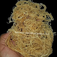  8oz 100% NATURAL RAW Wildcrafted Caribbean (Sea Moss) Inspired by Dr. sebi.