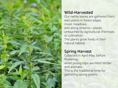 Stinging Nettle Leaf – Cut & Sifted – Urtica Dioica – Loose Bulk Herb