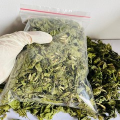 Calea Zacatechichi (Mexican Dream Herb) | Natural Dried Herbal Leaves 100g |Tea