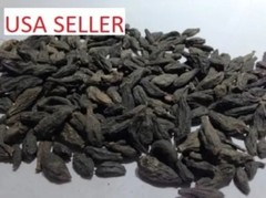 100 gm HARITAKI Myrobalan black Terminalia chebula Himej kali choti harad