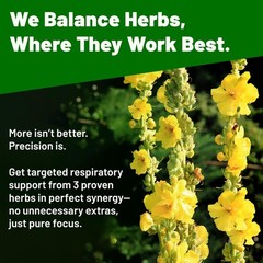 Mullein Drops for Lungs – Lung Detox for Smokers & Lung Cleanse Liquid – Mullein