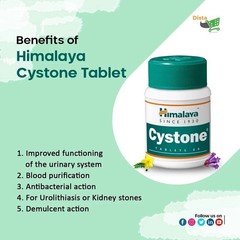 Himalaya Cystone Tablets Pack of 5 | Herbal | Free Shipping | Urinary Care