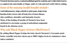Premium Turmeric Curcumin Extract Pills 1000mg w/ Black Pepper Bioperine 60 Caps