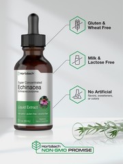Echinacea Liquid Extract | 2 fl oz | | Alcohol Free, Vegetarian | by Horbaach