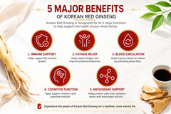 Hansamsu Korean Red Ginseng Extract 365 Premium Health Supplement 240g