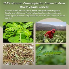 Chanca Piedra 40g Stone Breaker 1.4oz Loose Herbal Tea from Peru