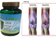 3 Celulas Madres Biomatrix Bioxcell Madre Cell Plus AFA Bioxtron Health Stem 180