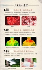 Self-Heating Wormwood Artemisa Mugwort Moxibustion Moxa Pain Relief 10pc 自发热 艾灸贴