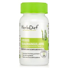 Cissus Quadrangularis Extract Capsules 25:1 Bone Strength Joint Supplement