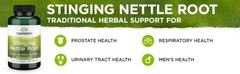 Swanson Stinging Nettle Root, 500mg – 100 Capsules – Herbal Supplement
