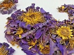 1 oz Organic Blue Lotus, N. caerulea, Whole Siamese Dream™ ~ Schmerbals Herbals