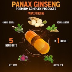 Zolotus Korean Red Panax Ginseng + Ginkgo Biloba, 120 Count (Pack of 1)
