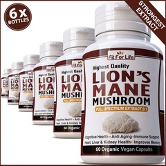 360 X PILLS LIONS MANE MUSHROOM EXTRACT ORGANIC BRAIN HEALTH MEMORY FOCUS RECALL