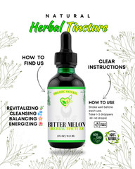 Bitter Melon Tincture 2 oz | Blood Sugar Support | Metabolism & Liver Health