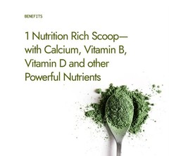 Premium Organic Moringa Leaf Powder – Pure, Nutrient-Dense Superfood for Energy