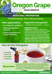 Oregon Grape Tincture: Cleans Fatty Liver & Dirty Blood, Skin Issues-Acne &Spots