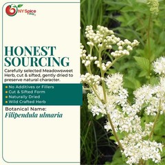 Meadowsweet Herb Premium Quality (Filipendula ulmaria) Cut & Sifted by NY Spice
