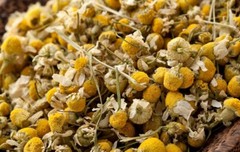 Wild Crafted Chamomile Flowers Dried ~ 16 oz. Freshly Packed USA Free Ship
