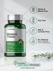 Blessed Thistle 1600 mg | 150 Capsules | Non-GMO, Gluten Free | by Horbaach