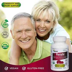 Reishi Mushroom Vegetarian Organic Supplement Energy Booster Ganoderma 90 Caps