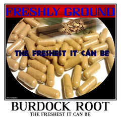 BURDOCK ROOT The Freshest It Can Be Ever Fresh Powder Ground 100 V Capsules