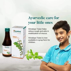 Himalaya Tulasi Tablets Ayurvedic Herbal Wellness Supplement 3 Pack Free Ship