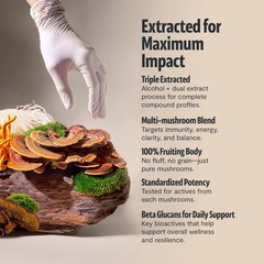 Ultimate Mushroom Complex Powder 12:1 Extract 29% Beta-Glucans 60 Servings