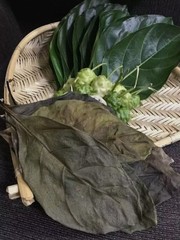 50+ Organic Dried Noni Leaves Herbal Morinda Citrifolia Indian Mulberry Tea